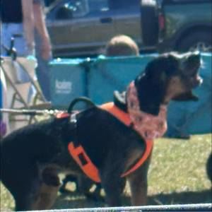 Meet your Posher, Christa